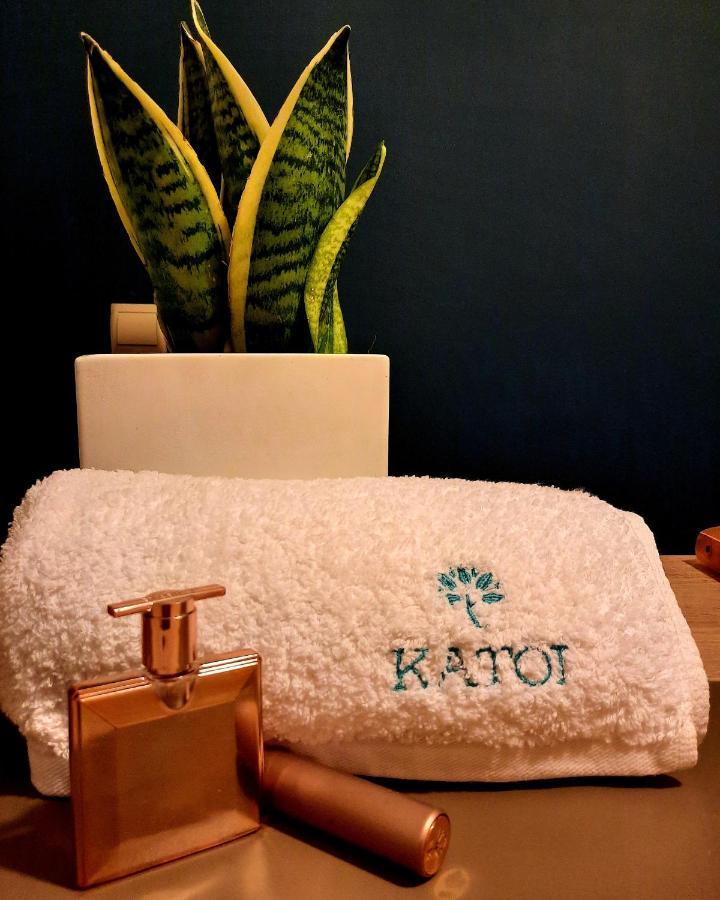Katoi Traditional House Exo Khora Buitenkant foto